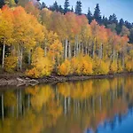 Modern 2 Bedroom In Aspen Core Walk Everywhere