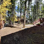 New Listing Peaceful 4Bd In The Woods