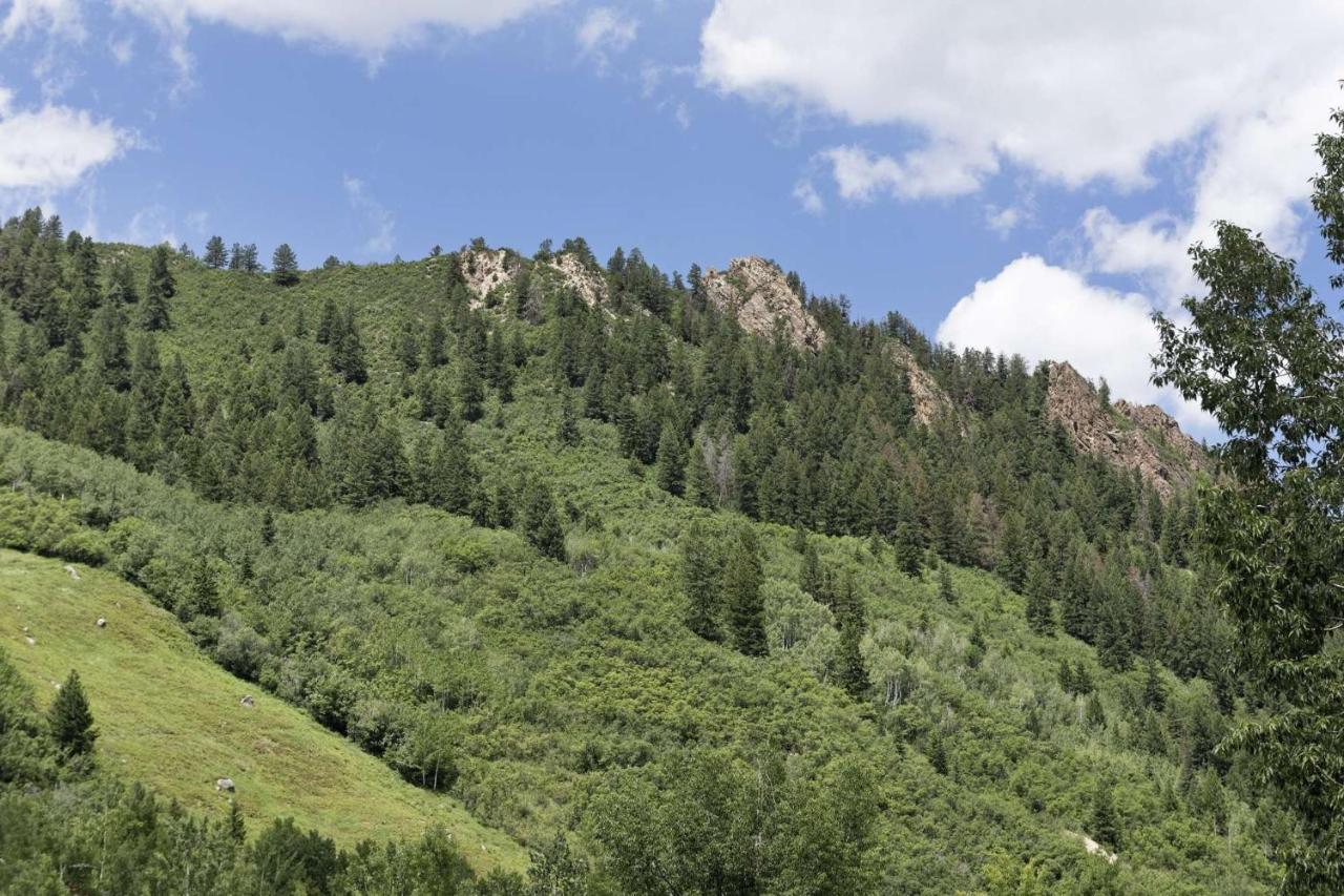 Durant 6d Holiday home Aspen