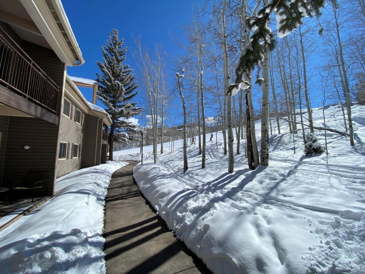 Timberline Unit 115 *