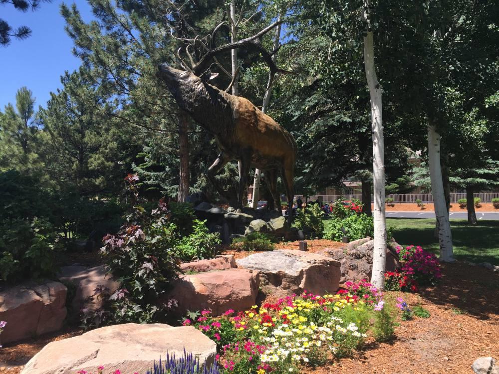 Western Antlers At Glenwood Springs