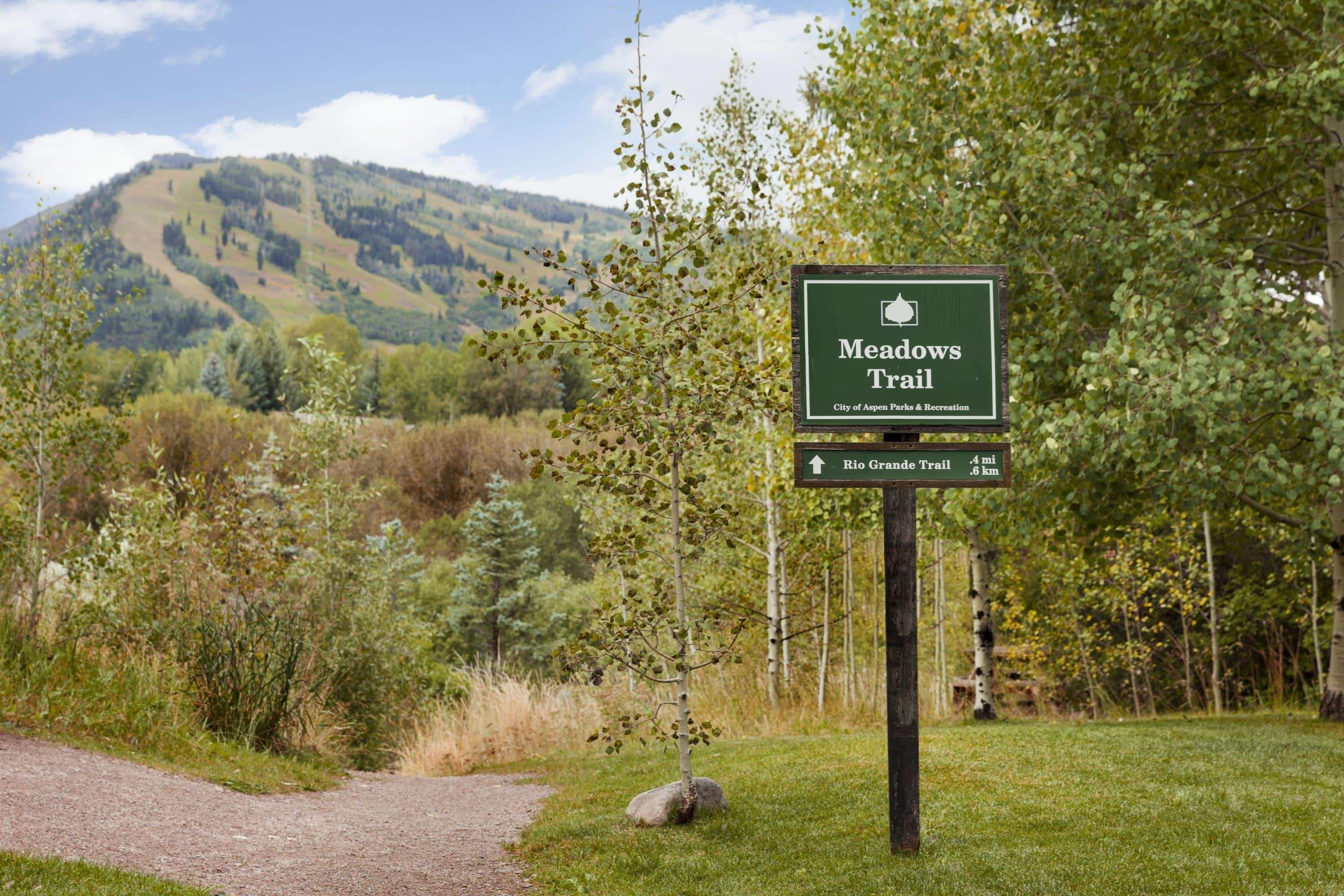 Resort Meadows Aspen