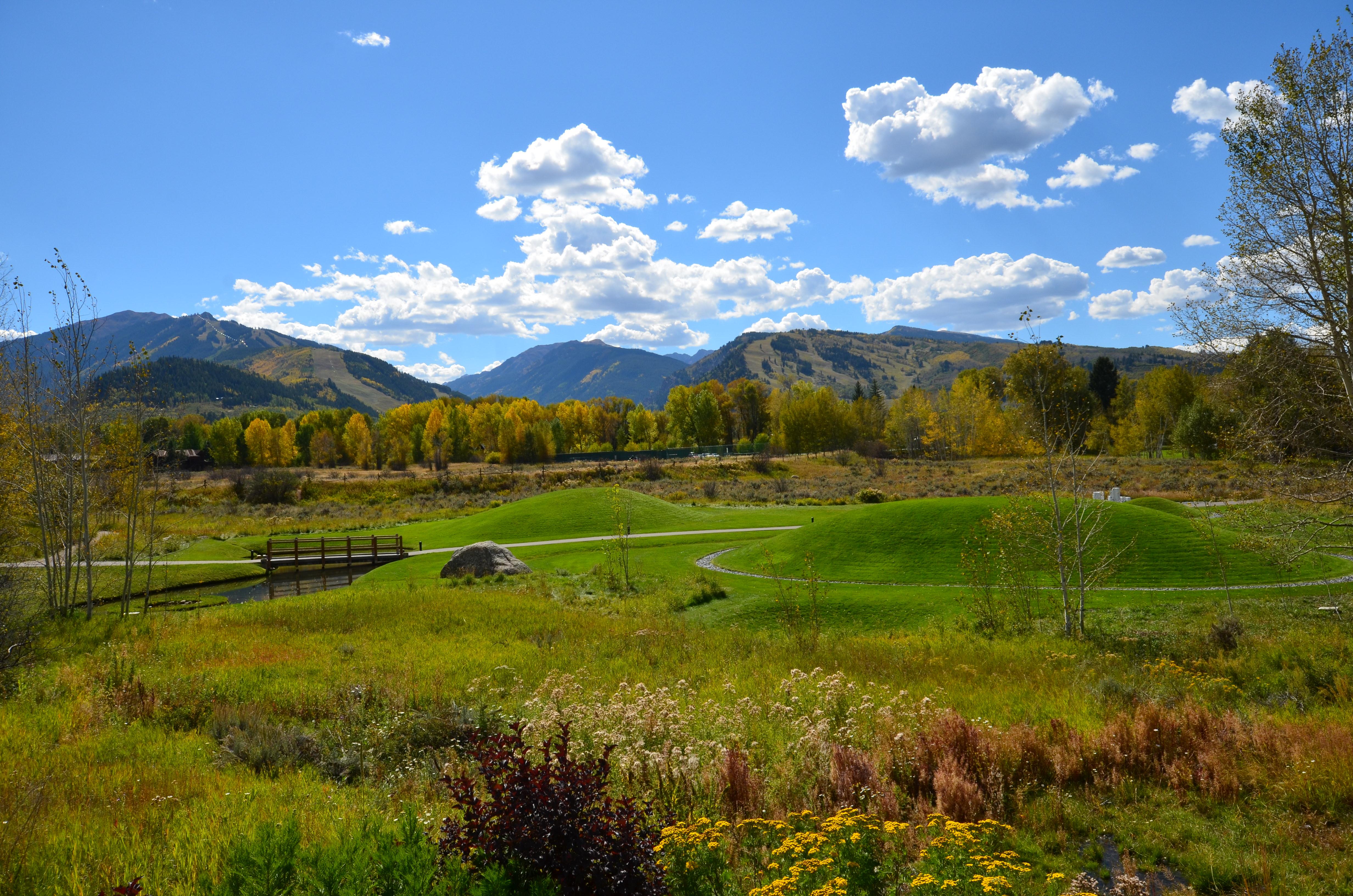 Meadows Resort