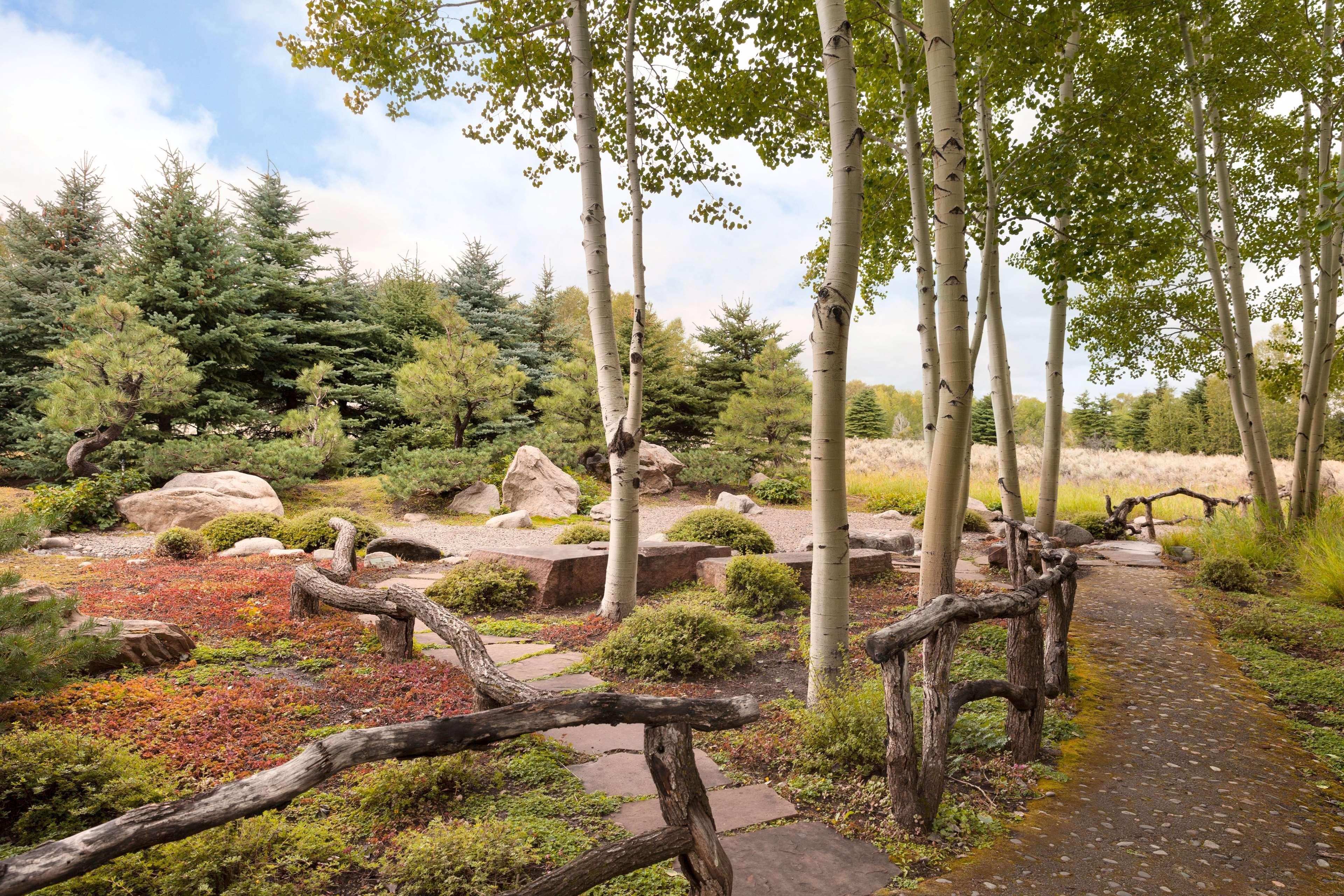 Meadows Aspen