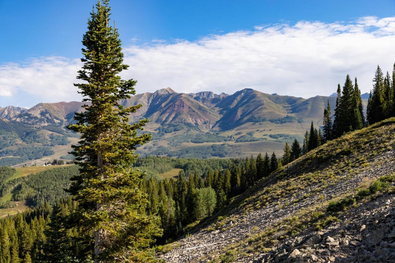Elevation & Crested Butte