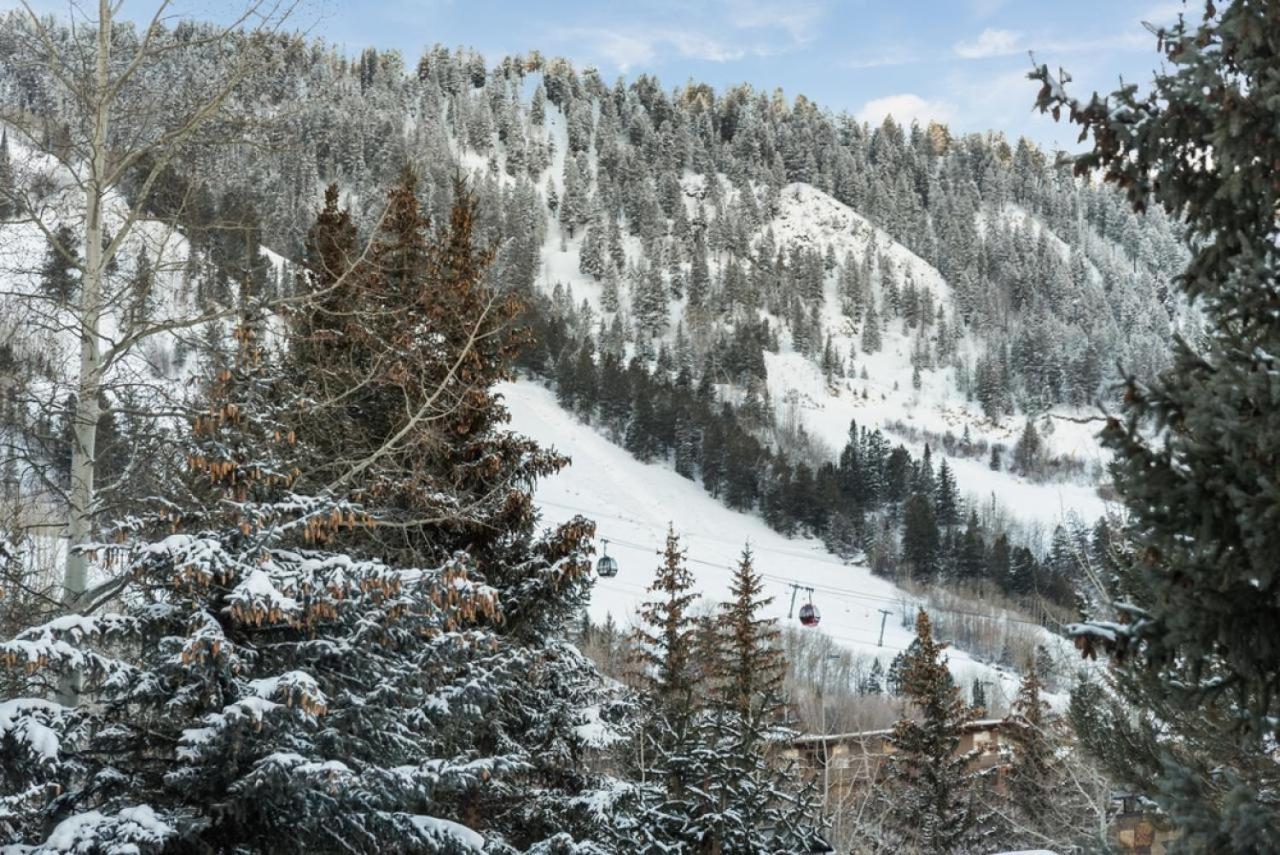 Chateau Snow Unit 202, Renovated With Great Natural Light, Excellent Location Holiday home Aspen