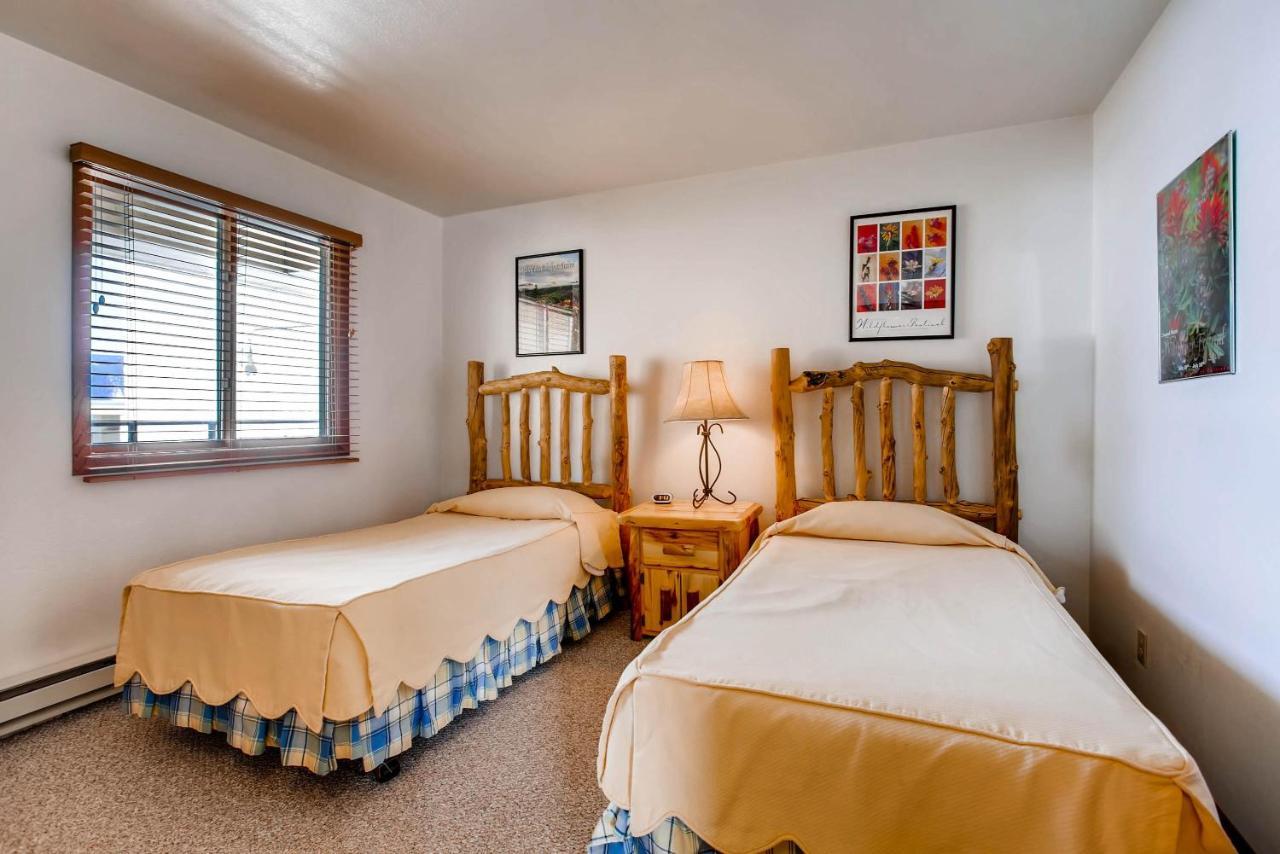 Apartment Plaza 3pk 2br 2bth Pz641 Crested Butte
