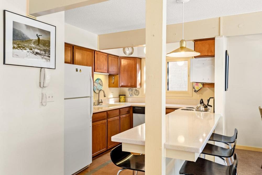 118 E. Bleeker Street Lower Level, Large Lower-level In Duplex With Private Deck Holiday home Aspen