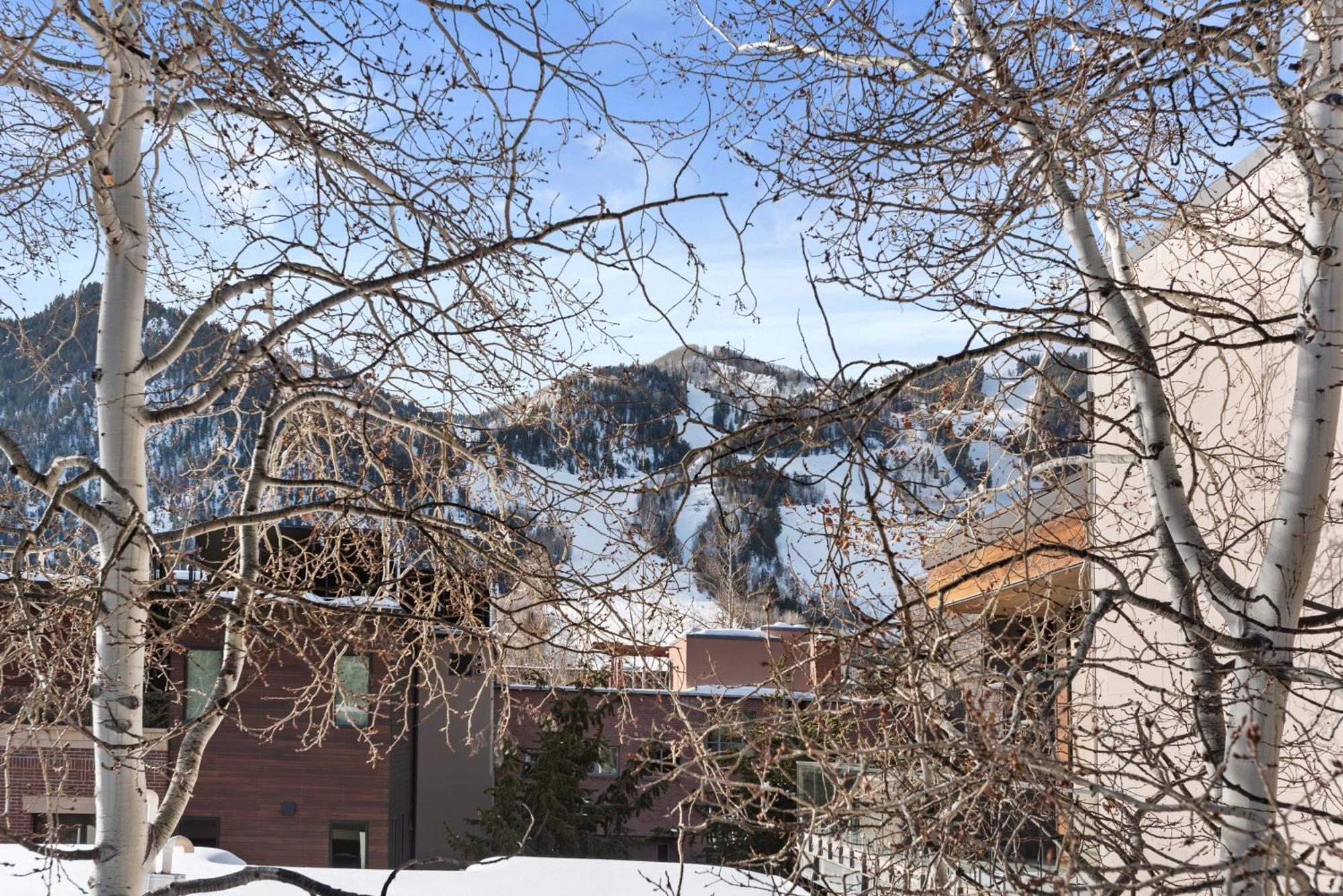 Spring Street Unit 629, 2br W/ Mountain Views And Door Step Access To Shops & Restaurants Holiday home