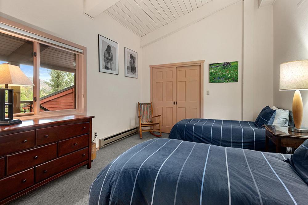 Enclave 308, Snowmass Ski-in/ski-out W/shared Pool/hot Tub