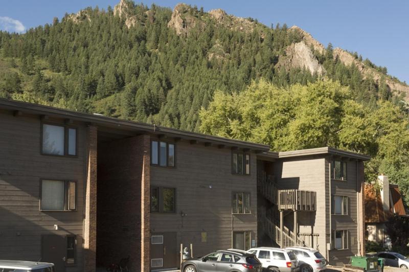 Cottonwoods Unit 1f, Stylish With Excellent West End Location, Wood-burning Fireplace Aspen