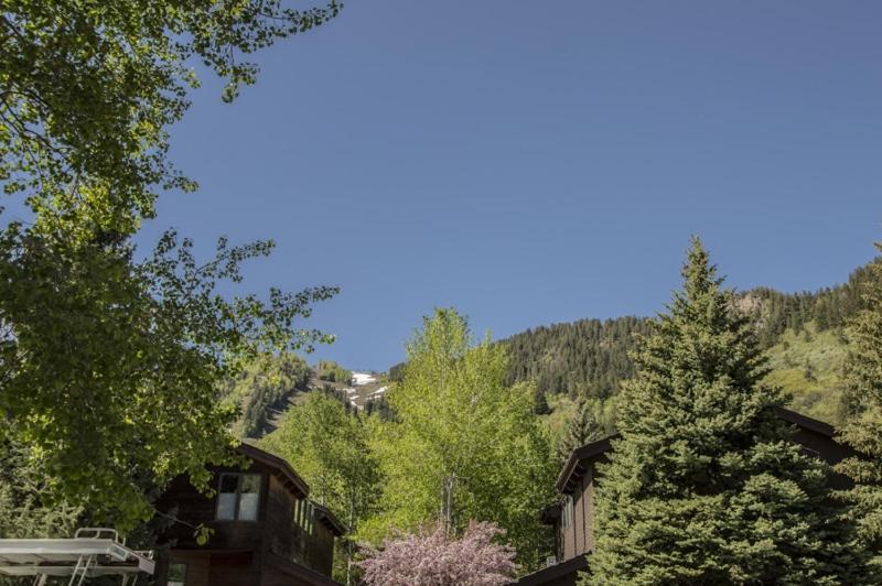 Cottonwoods Unit 1f, Stylish With Excellent West End Location, Wood-burning Fireplace Holiday home *