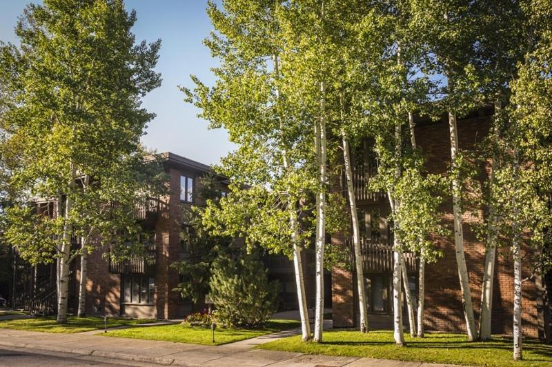 Cottonwoods Unit 1f, Stylish With Excellent West End Location, Wood-burning Fireplace * Aspen