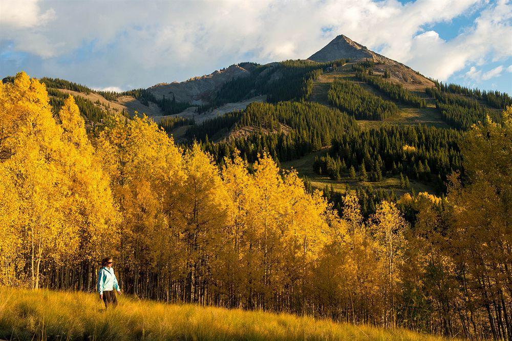 Paradise Mountain 2*
