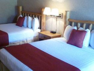 Western Antlers At 3* Glenwood Springs