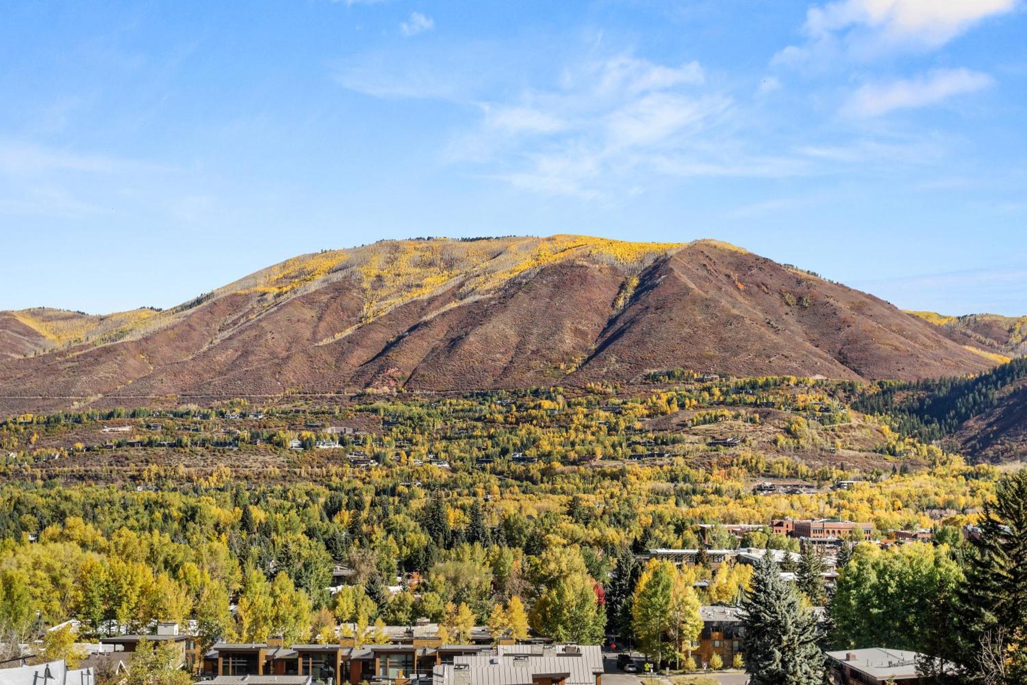 Ajax Shadow Mountain