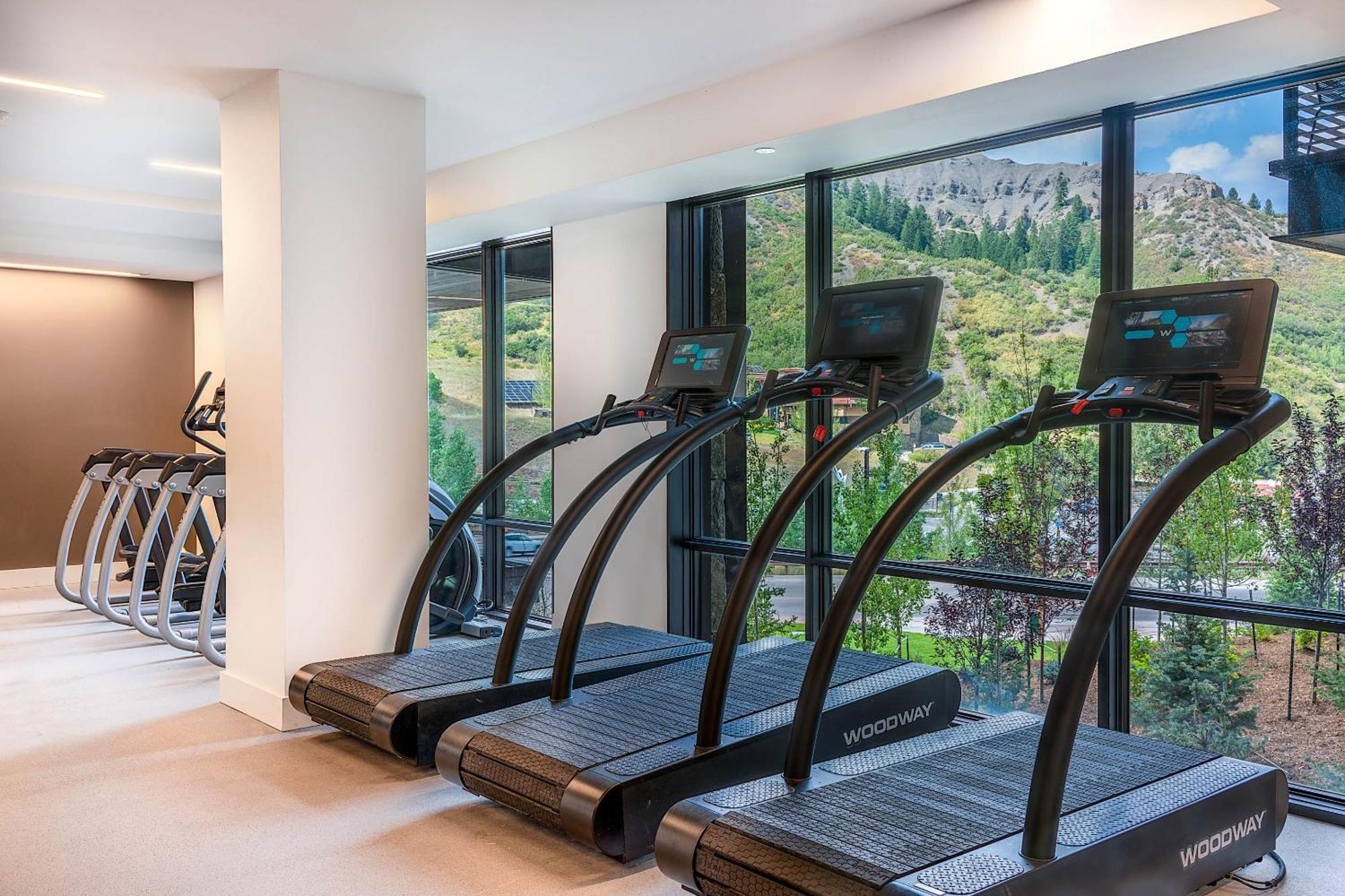 Apartment Capitol Peak 3031 By Snowmass Mountain Snowmass Village