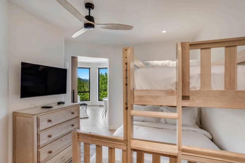 Electric Pass 206 By Snowmass Mountain Lodging