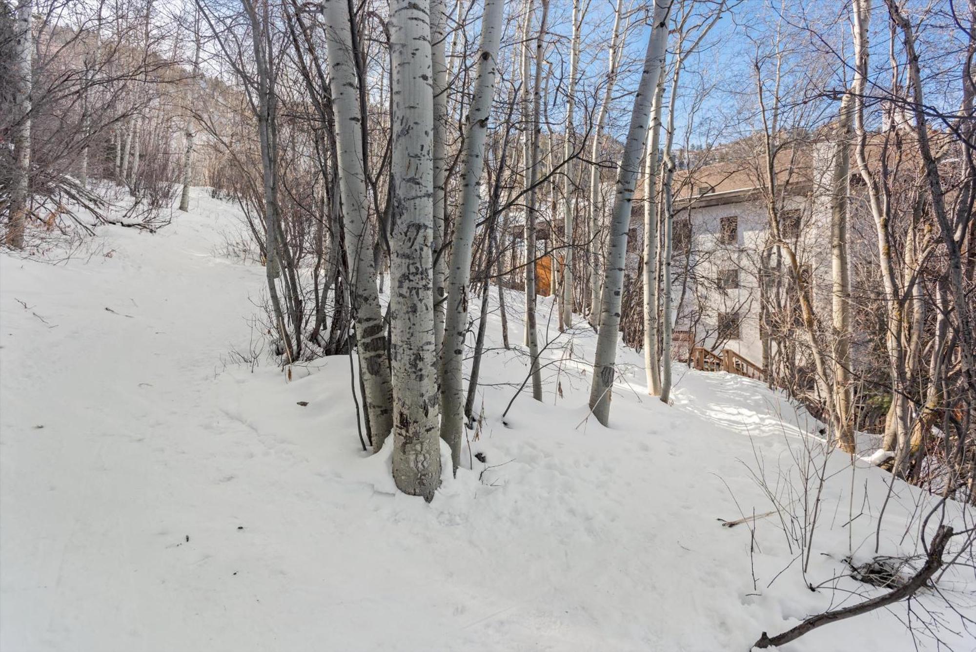 Apartment Renovated 2 Bedroom Ski-in Out *