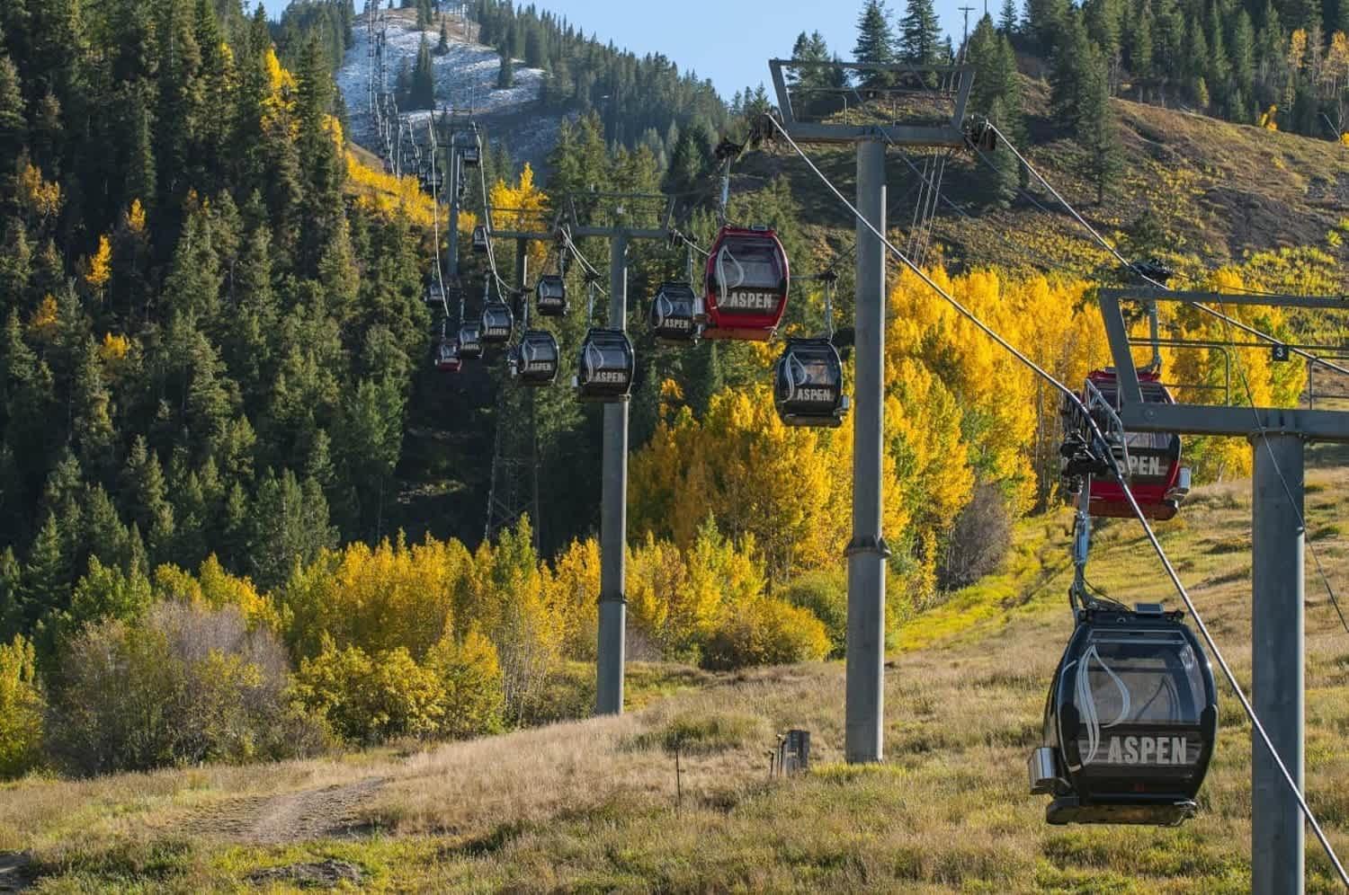 Renovated 2 Bedroom Ski-in Out Apartment Aspen