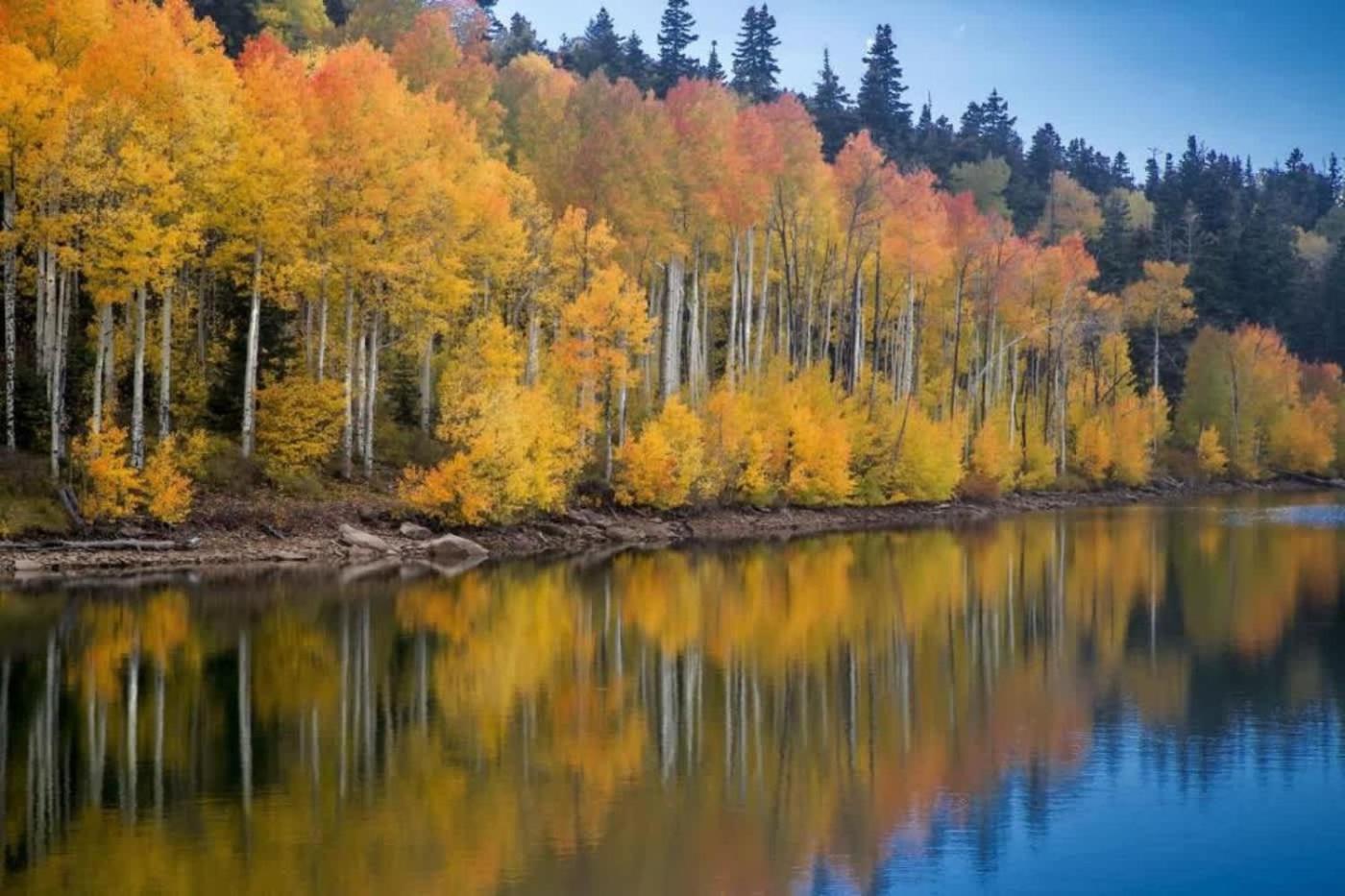 Holiday home Riverfront 2 Bedroom - Steps To Town - Pool & Hot Tub Aspen