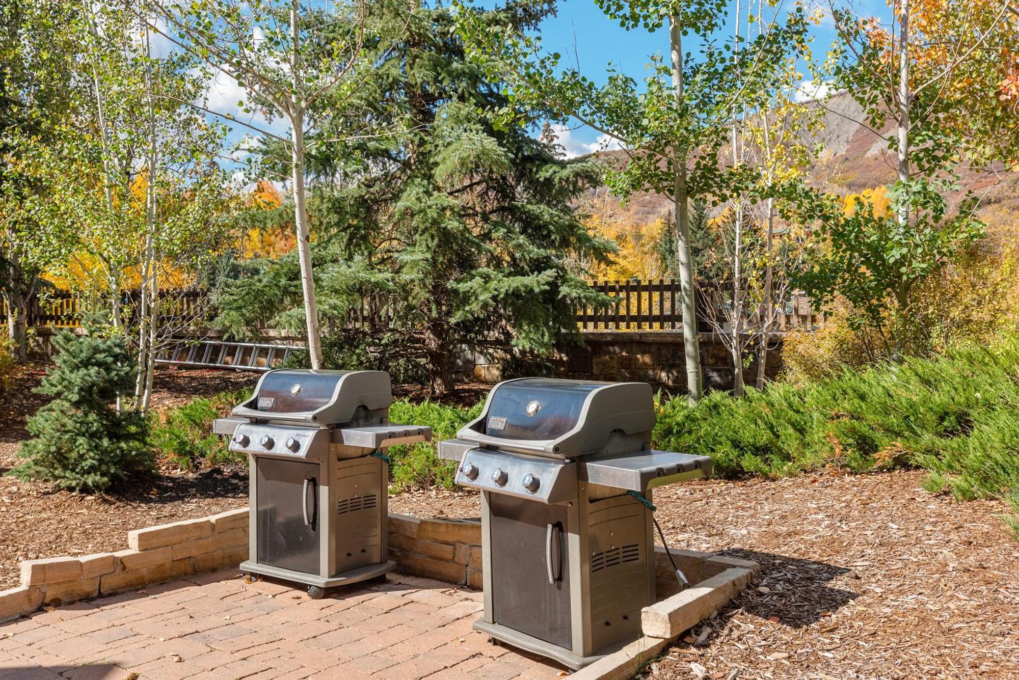 Scenic Slopeside Haven The Gem * Snowmass Village
