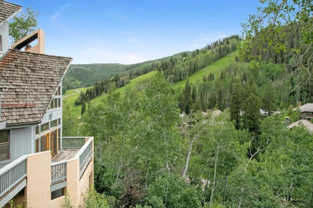 5 Bed With Loft 6ba In And Out Amazing Views Holiday home Beaver Creek