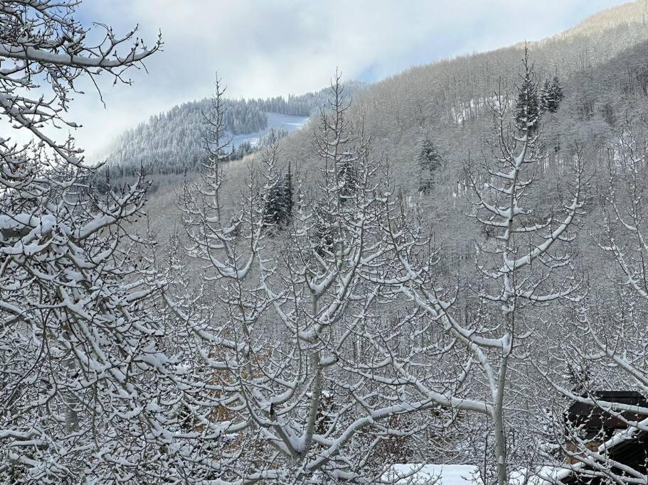 5 Bed With Loft 6ba In And Out Amazing Views * Beaver Creek