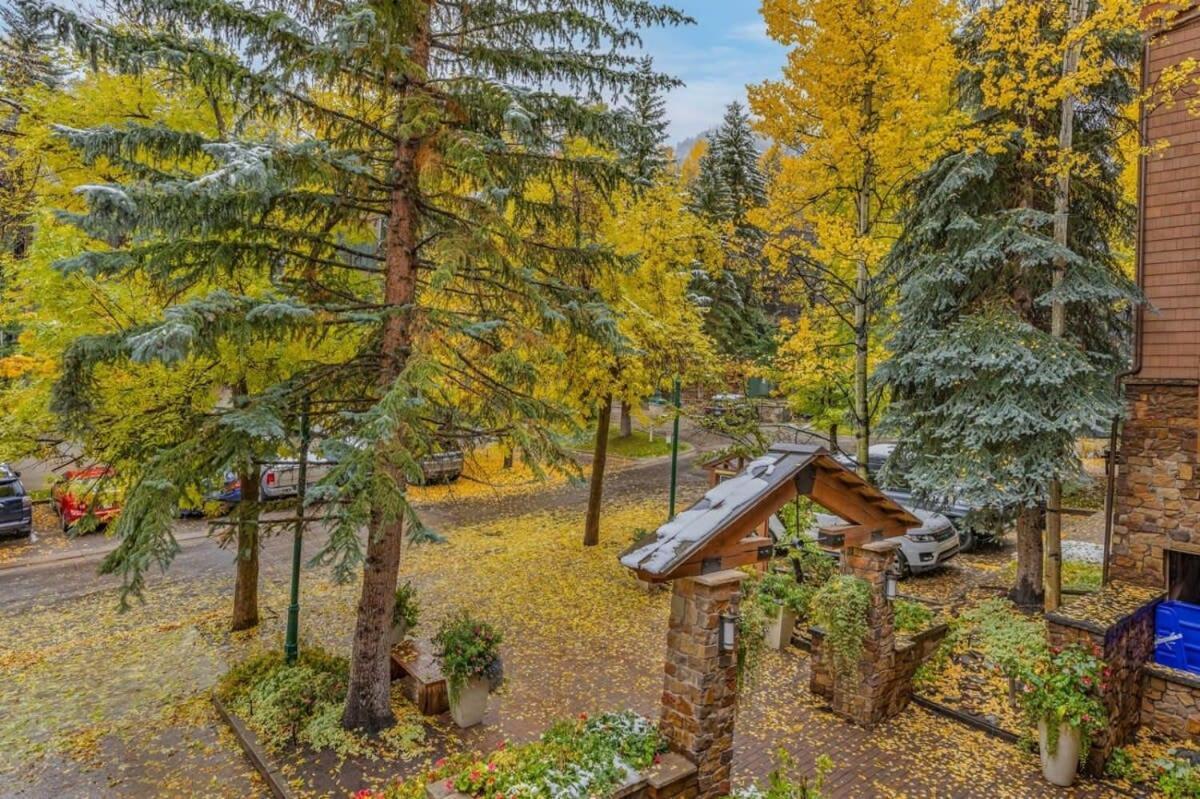 2 Bedroom 3ba - Ac, Heated Pool, Walk To Town Aspen