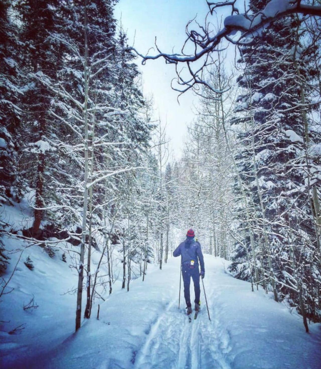 The Drop In The Edge Of Adventure Mount Crested Butte