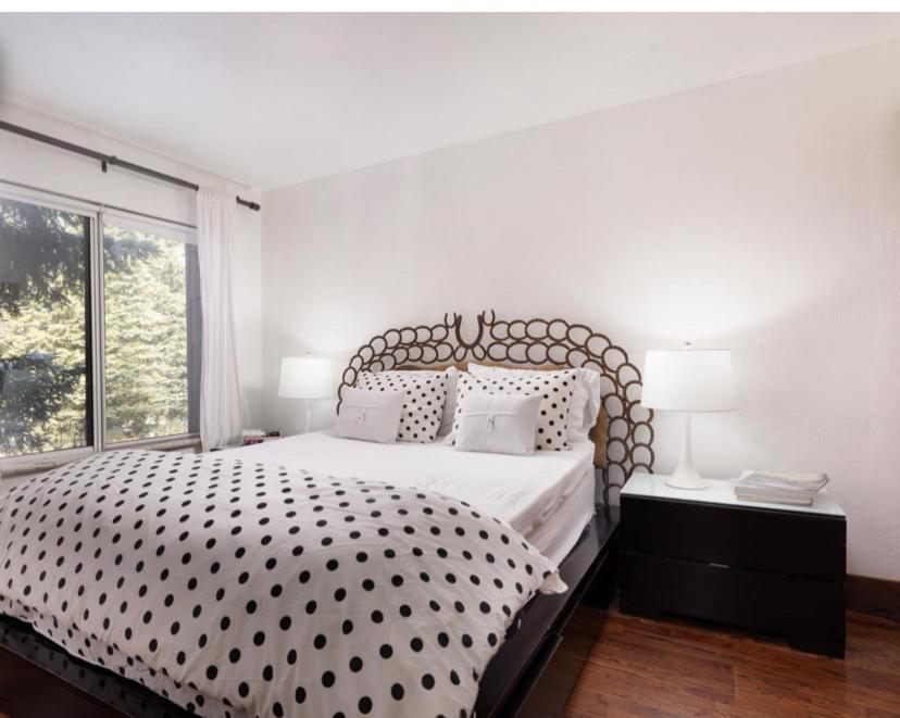 Apartment Perfect Inside Downtown Location! Romantic 1300 Ft, 4 Blocks Or 396 M, To Ajax Or Mountain Aspen