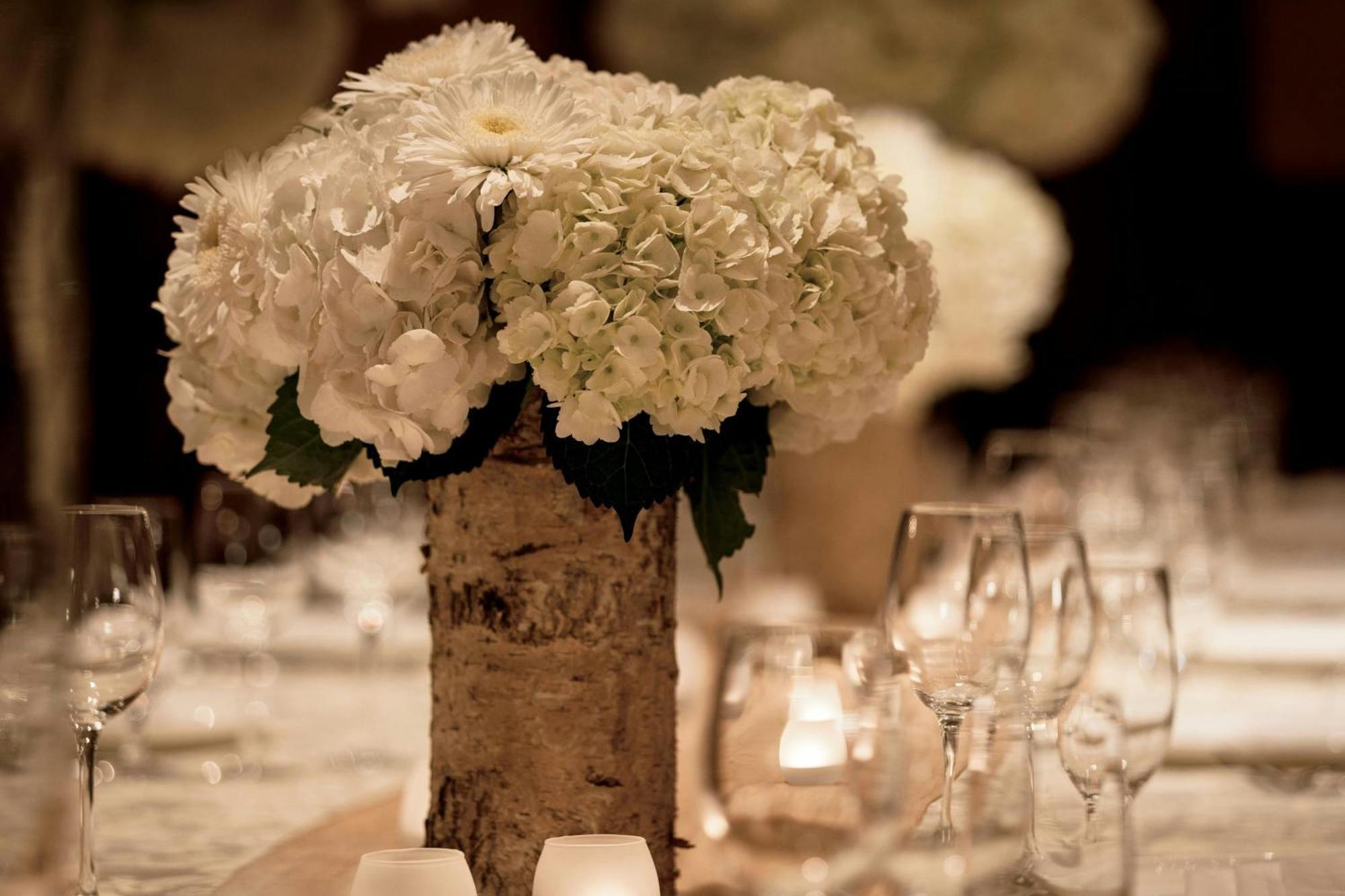 The Ritz-carlton, Bachelor Gulch Resort