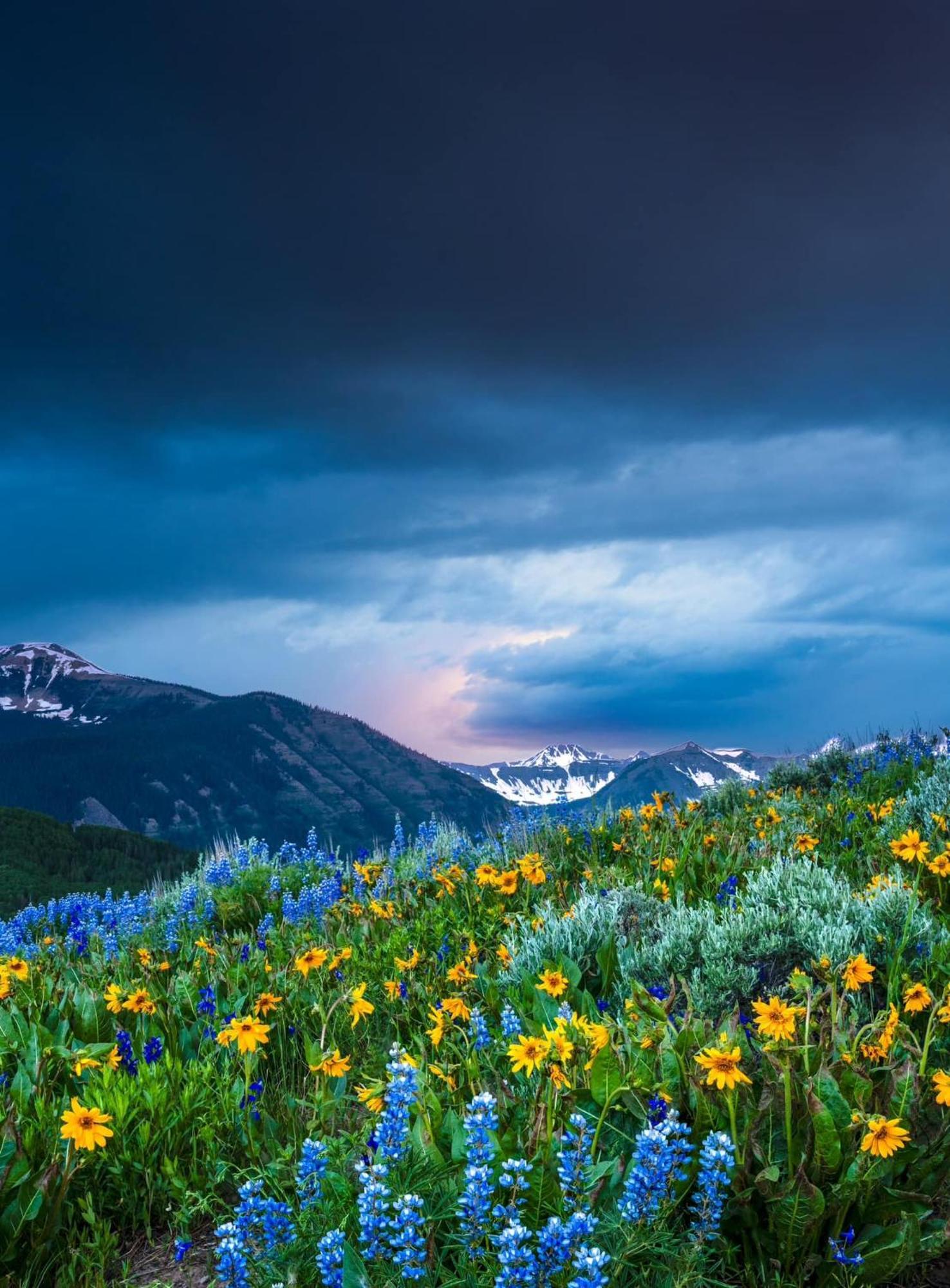 The Drop In The Edge Of Adventure * Mount Crested Butte