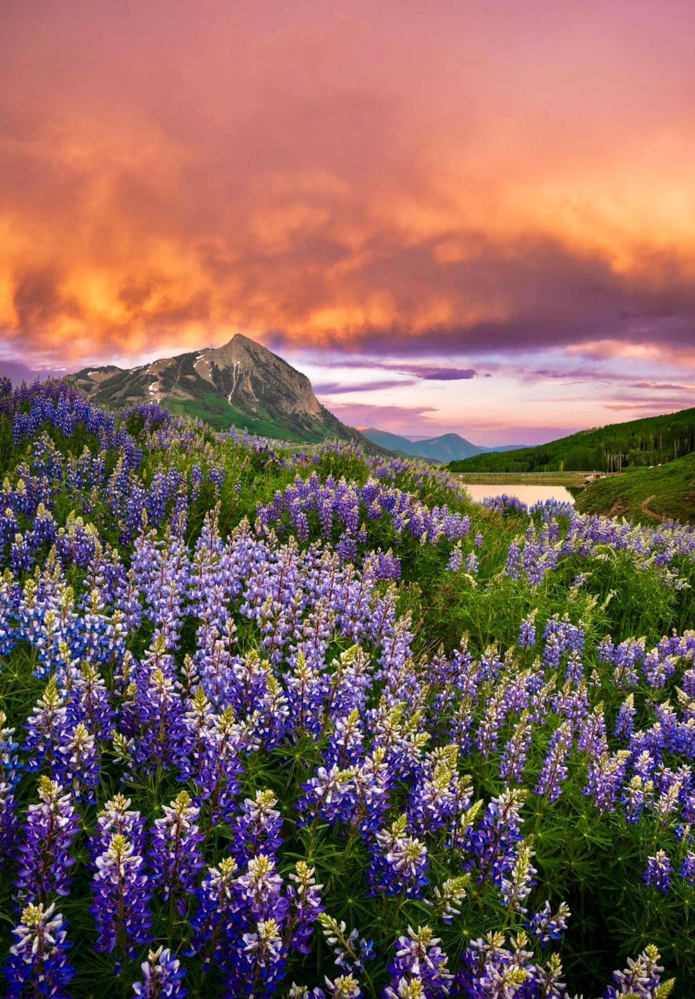 Holiday home The Drop In The Edge Of Adventure Mount Crested Butte