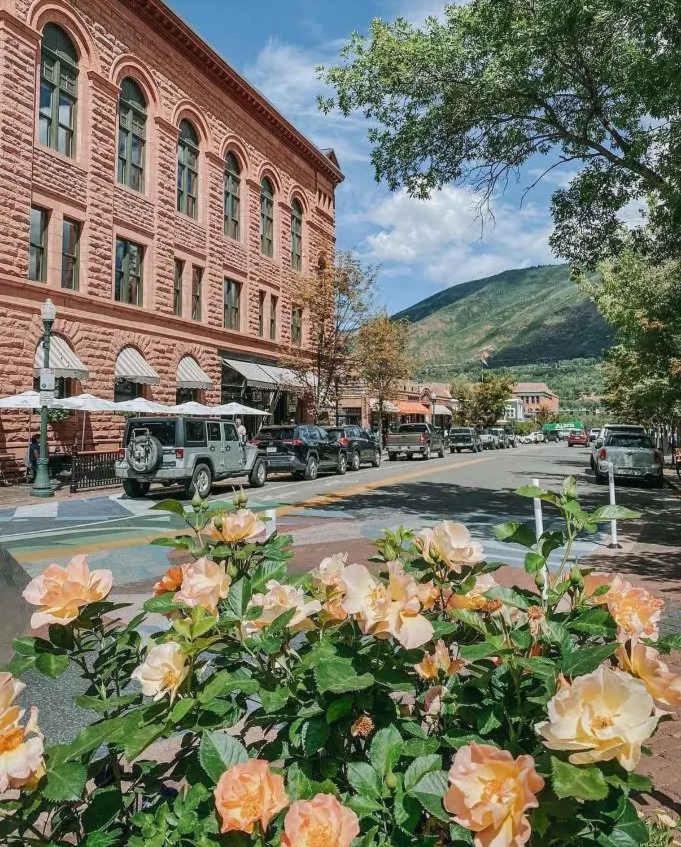 Comfort & Location - 2 Bedroom 2ba - Steps To Town Apartment Aspen