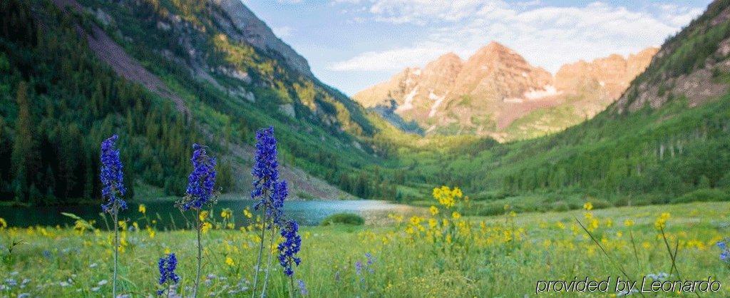 Alps Hotel Aspen