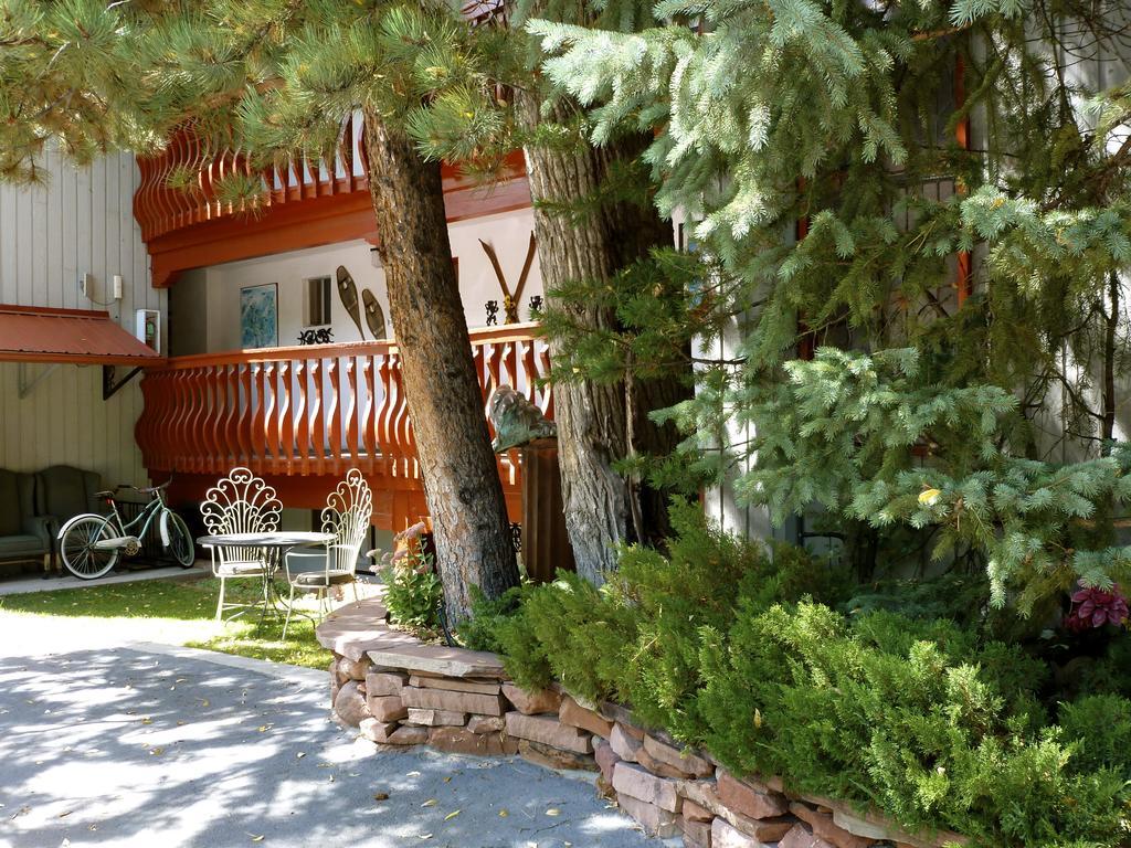 Tyrolean Aspen