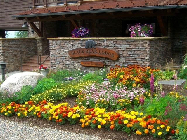 Aparthotel Black Bear