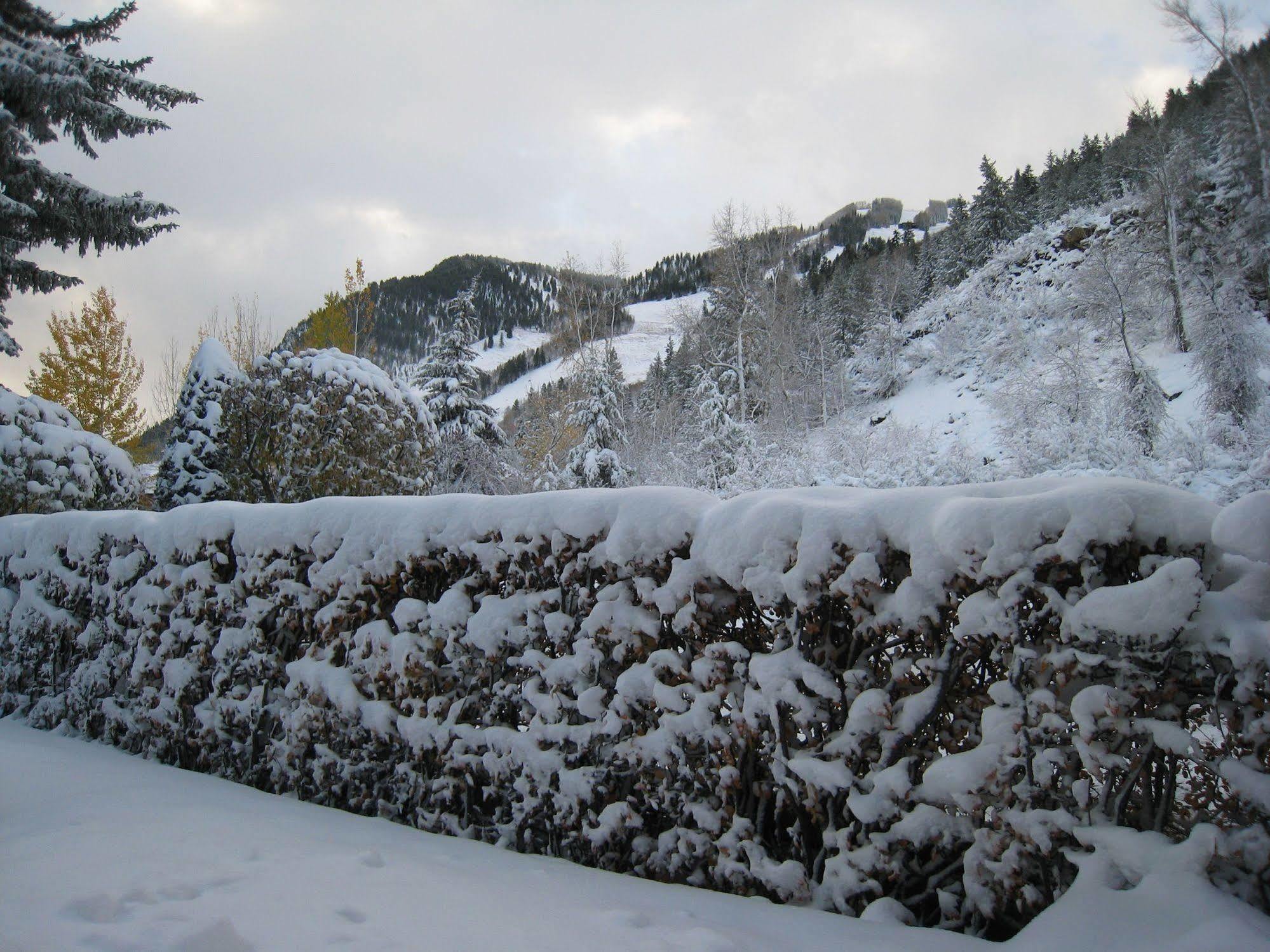 St Moritz And Lodge *