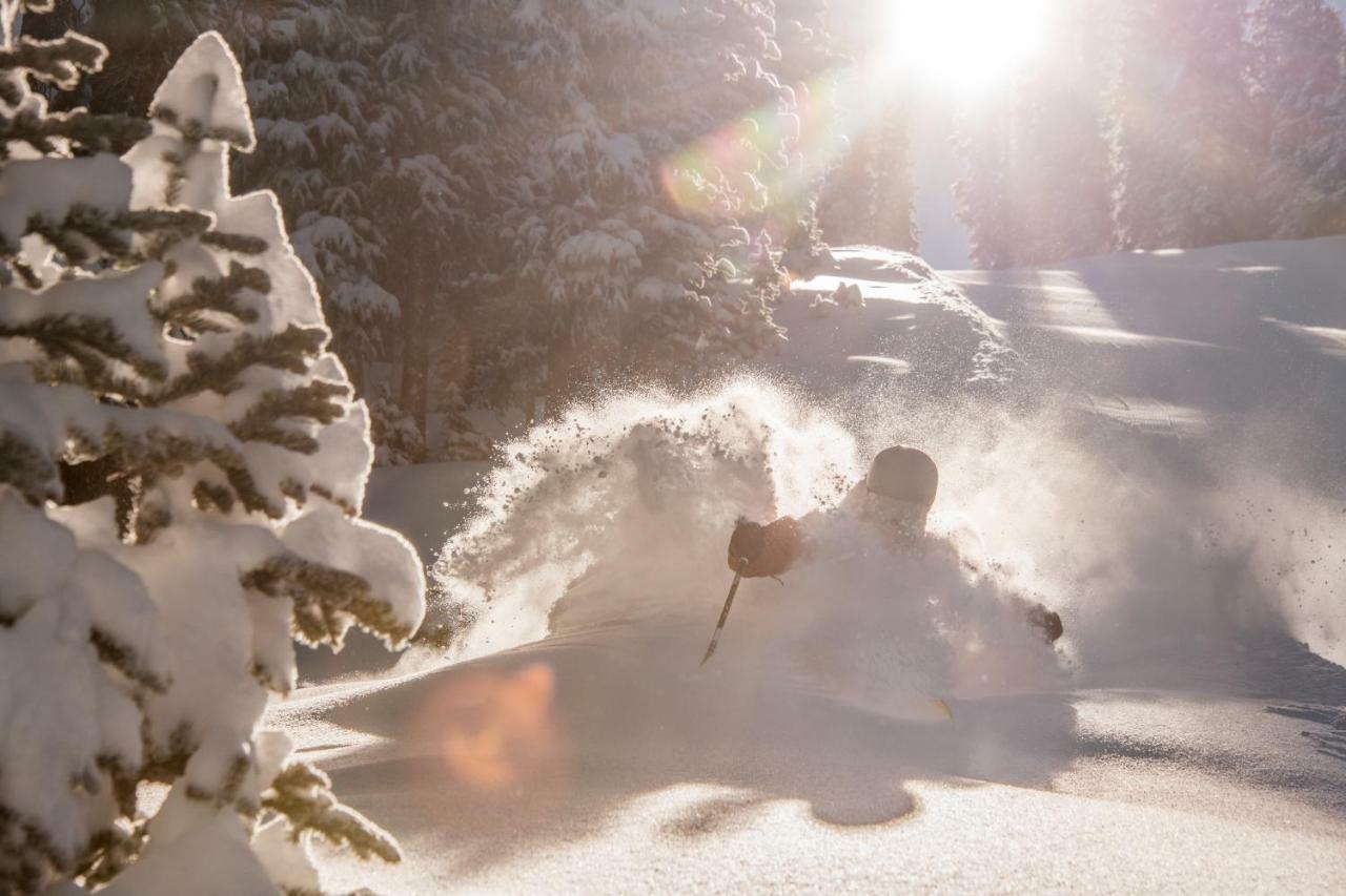 Ski-in Ski-out 2 Bedroom Condo- Sleeps 6 People Apartment Crested Butte