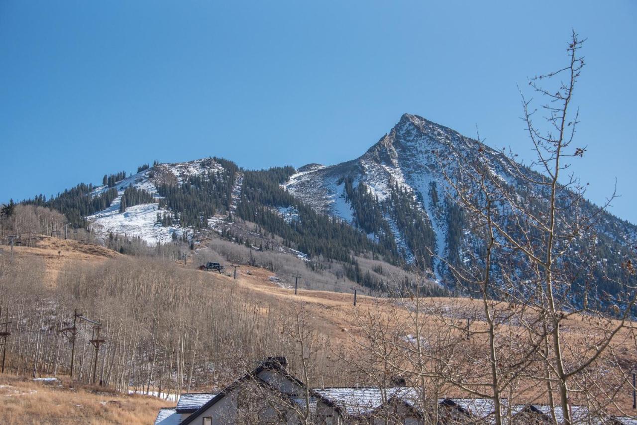 Apartment Rustic-contemporary 3br With Great Views Crested Butte