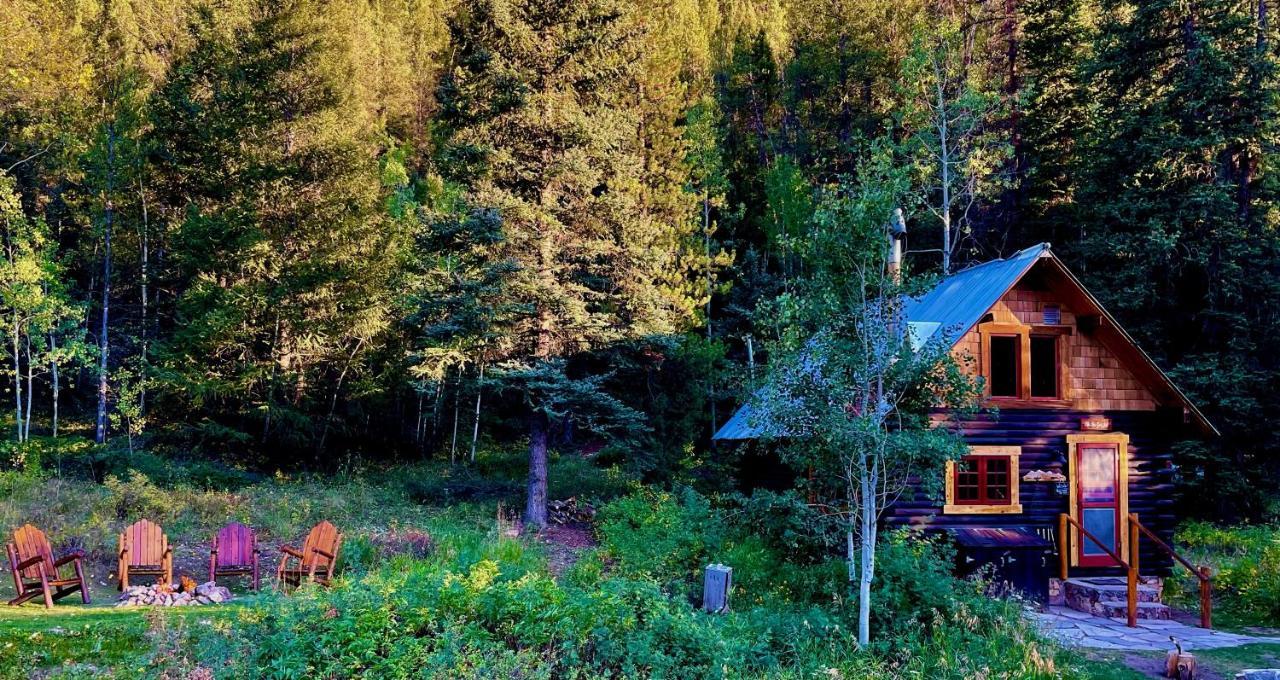 Pioneer Guest Crested Butte