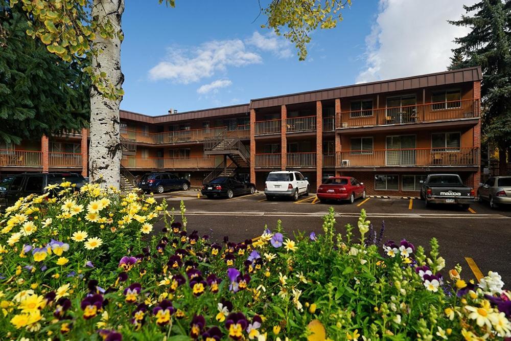Silverglo 104, Budget-friendly Close To Downtown, Full Kitchen, New Bathroom * Aspen