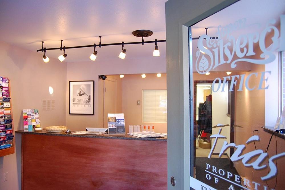 Silverglo 104, Budget-friendly Close To Downtown, Full Kitchen, New Bathroom Holiday home Aspen