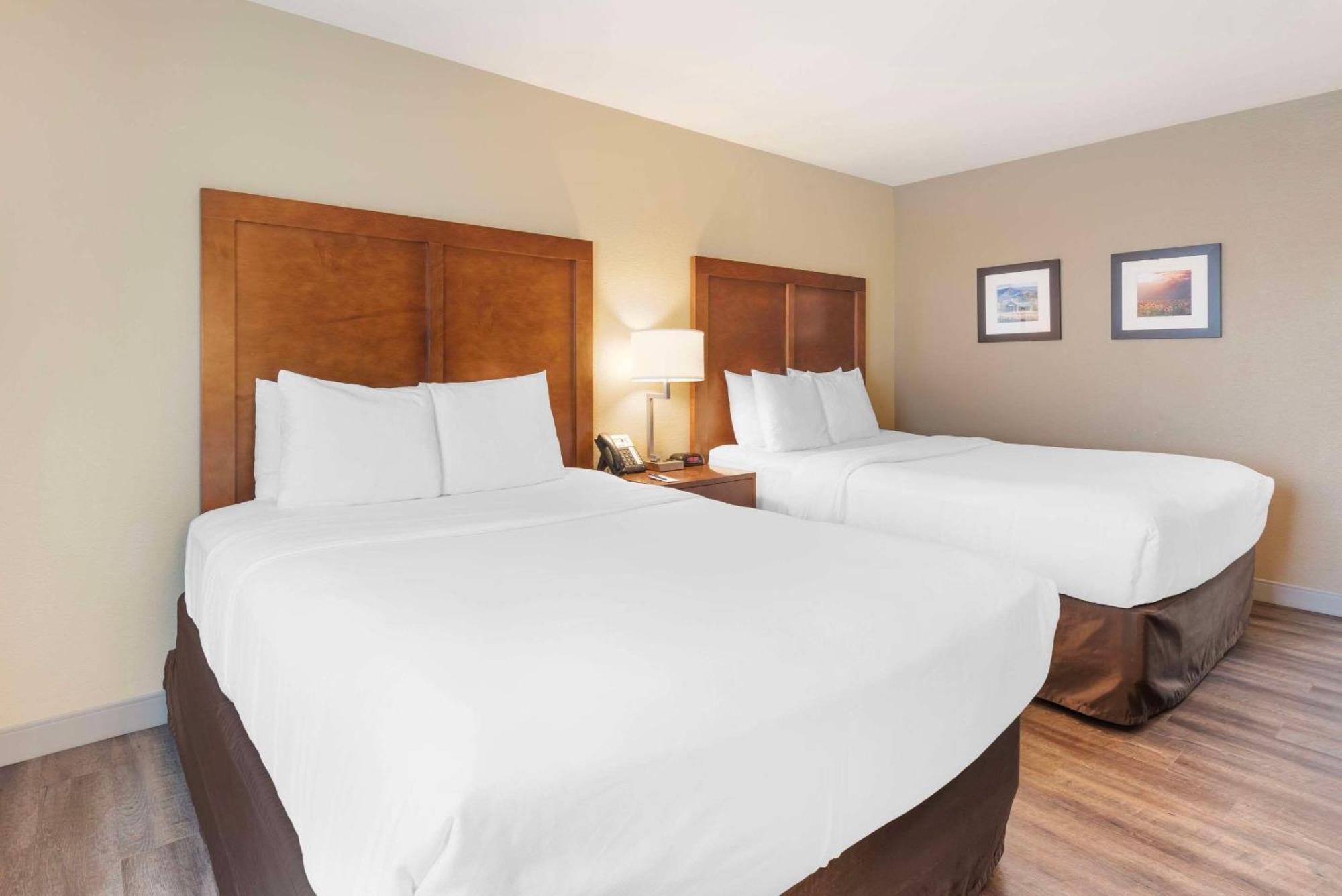 Comfort & On The Roaring Fork Carbondale
