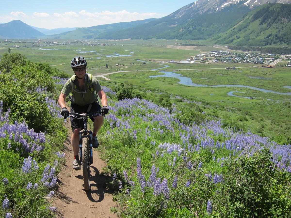 Purple Mountain & Bed & Breakfast 4*